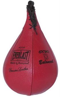 Everlast Striking Bag